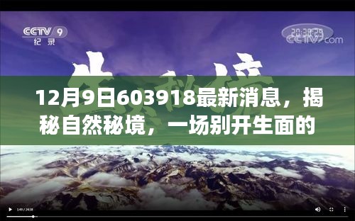 揭秘自然秘境，最新消息带你探寻心灵深处的宁静之旅（12月9日更新）