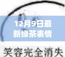 12月9日绿茶表情包更新，掀起网络交流新热潮