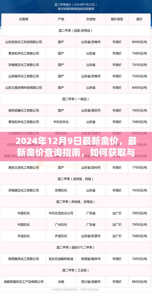 2024年12月9日禽价信息一览，查询指南与深度分析