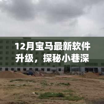 探秘宝马软件升级秘境，12月最新升级体验之旅