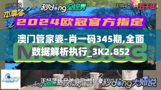 澳门管家婆-肖一码345期,全面数据解析执行_3K2.852