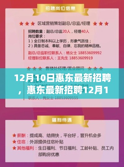 惠东最新招聘求职全攻略，从零起步到成功应聘（12月10日）