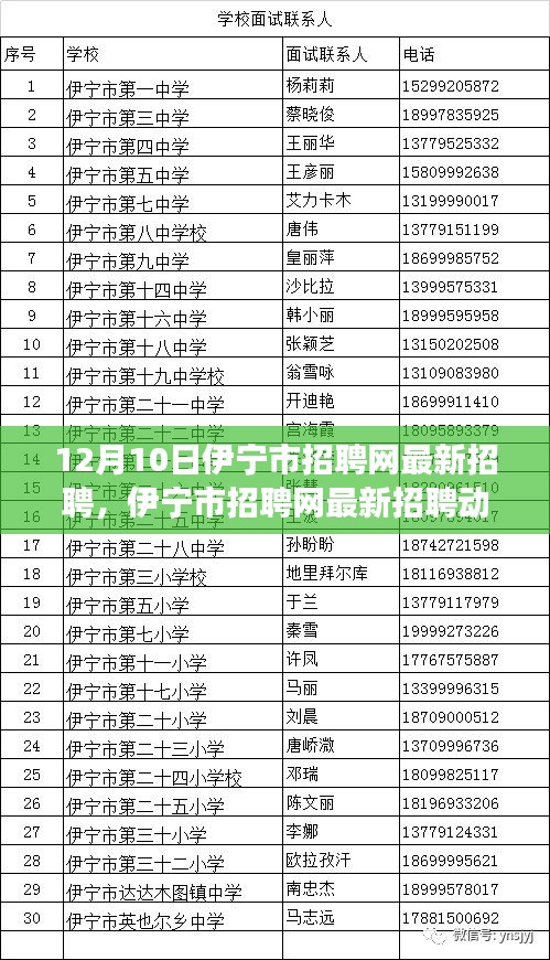 伊宁市招聘网最新招聘动态解析，观点碰撞与个人立场聚焦