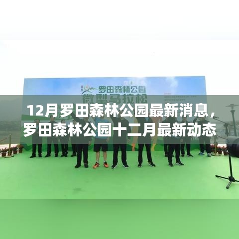 罗田森林公园十二月最新动态，深入剖析与观点阐述的影响分析