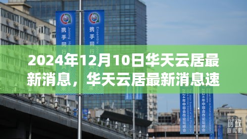 华天云居最新消息速递，揭秘三大看点，2024年12月10日看点全解析