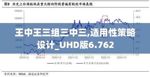 王中王三组三中三,适用性策略设计_UHD版6.762