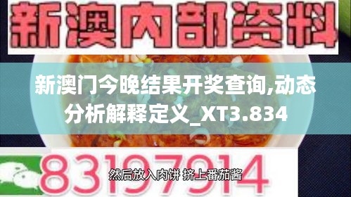 新澳门今晚结果开奖查询,动态分析解释定义_XT3.834