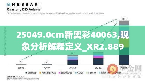 25049.0cm新奥彩40063,现象分析解释定义_XR2.889