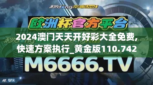 2024澳门天天开好彩大全免费,快速方案执行_黄金版110.742