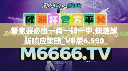 管家婆必出一肖一码一中,快速解析响应策略_VR版6.590