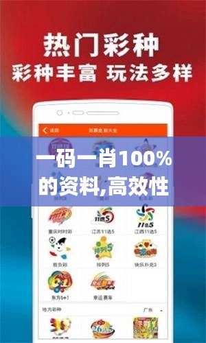 一码一肖100%的资料,高效性计划实施_豪华版7.903