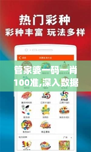 管家婆一码一肖100准,深入数据策略设计_工具版1.602