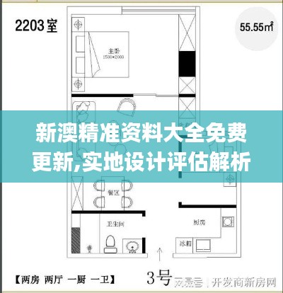 新澳精准资料大全免费更新,实地设计评估解析_工具版9.904