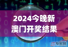 2024今晚新澳门开奖结果,深入分析定义策略_QHD2.873