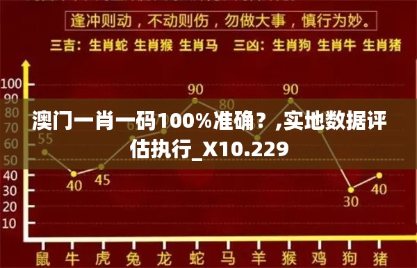 澳门一肖一码100%准确？,实地数据评估执行_X10.229