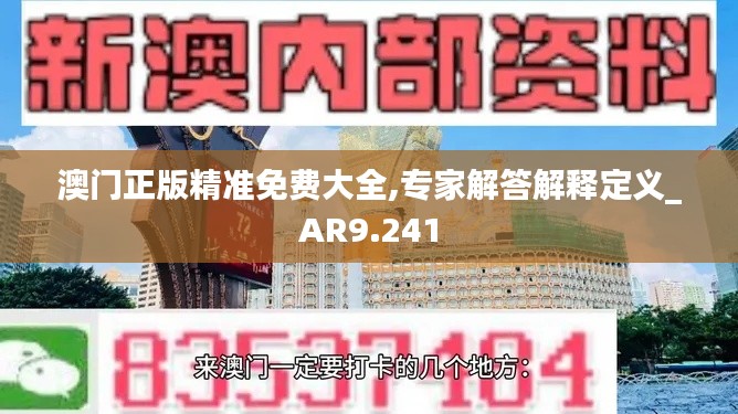 澳门正版精准免费大全,专家解答解释定义_AR9.241