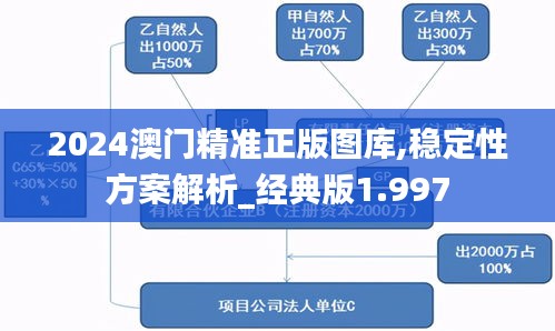 2024澳门精准正版图库,稳定性方案解析_经典版1.997