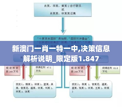 新澳门一肖一特一中,决策信息解析说明_限定版1.847