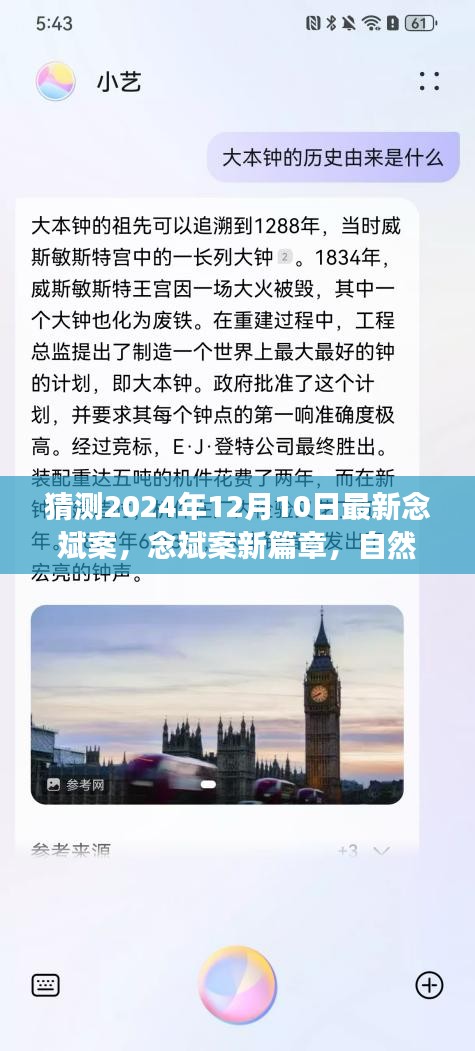 念斌案新篇章，心灵启示录与奇妙探险的交融——念斌案最新进展猜想与展望（2024年12月10日）