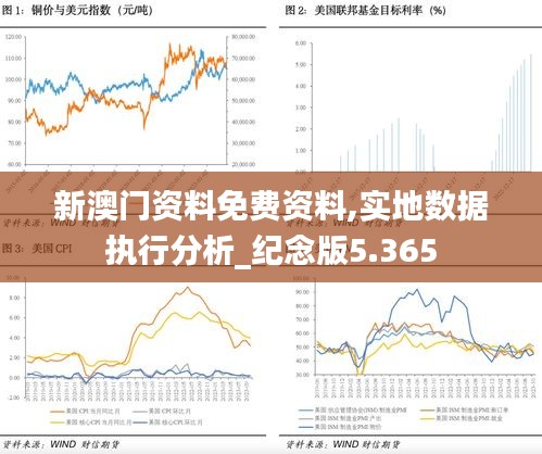 新澳门资料免费资料,实地数据执行分析_纪念版5.365