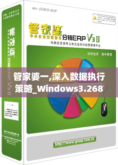 管家婆一,深入数据执行策略_Windows3.268