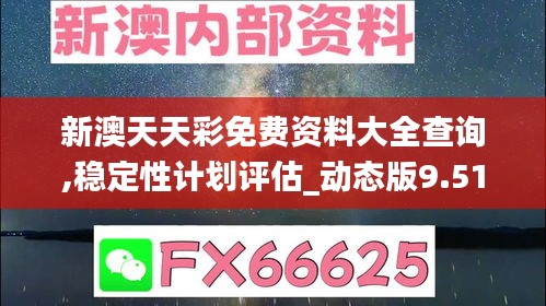 新澳天天彩免费资料大全查询,稳定性计划评估_动态版9.512