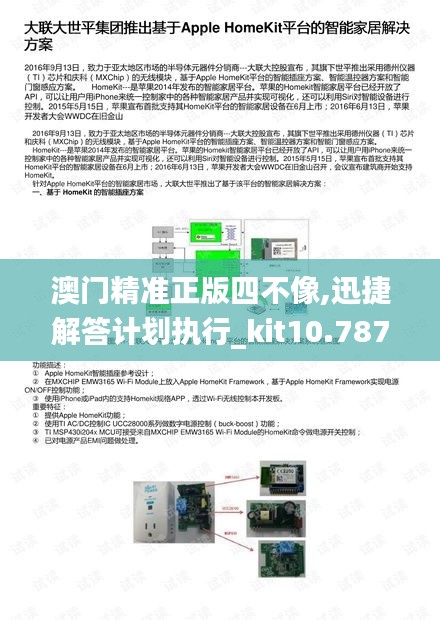 澳门精准正版四不像,迅捷解答计划执行_kit10.787