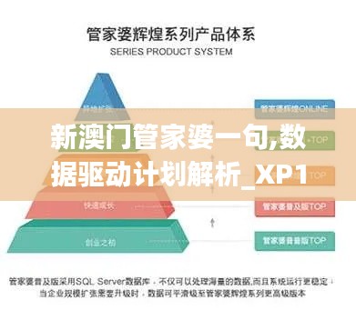 新澳门管家婆一句,数据驱动计划解析_XP10.103