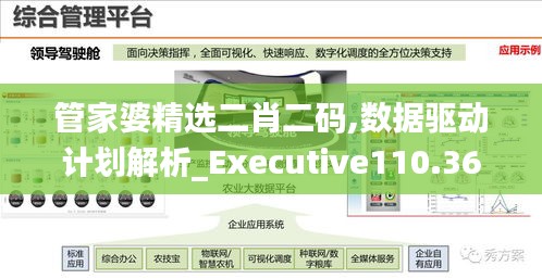 管家婆精选二肖二码,数据驱动计划解析_Executive110.363