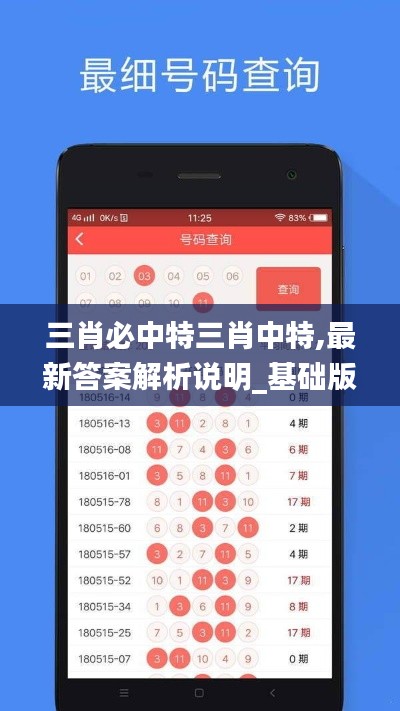 三肖必中特三肖中特,最新答案解析说明_基础版10.842
