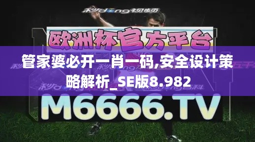 管家婆必开一肖一码,安全设计策略解析_SE版8.982