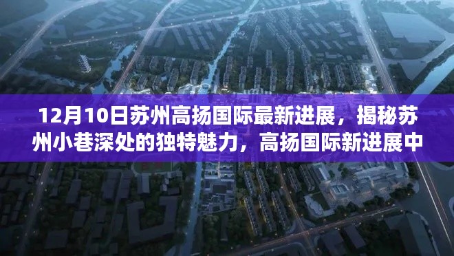 揭秘苏州高扬国际最新进展，小巷深处的独特魅力与隐藏瑰宝揭秘苏州高扬国际最新进展，探寻隐藏魅力。