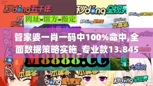 管家婆一肖一码中100%命中,全面数据策略实施_专业款13.845