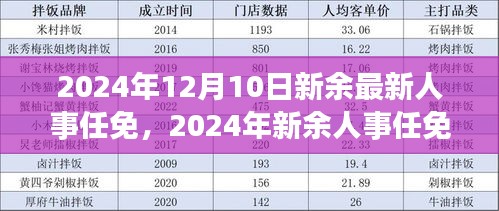 2024年新余人事任免深度解析与观点阐述