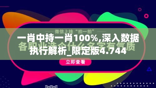 一肖中持一肖100%,深入数据执行解析_限定版4.744