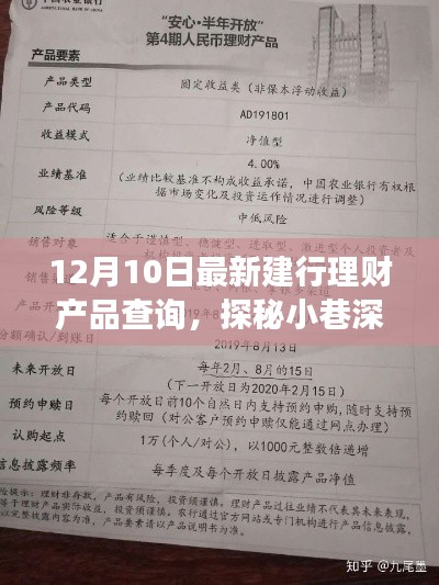 探秘宝藏！揭秘最新建行理财产品查询之旅！