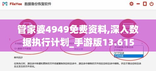 管家婆4949免费资料,深入数据执行计划_手游版13.615