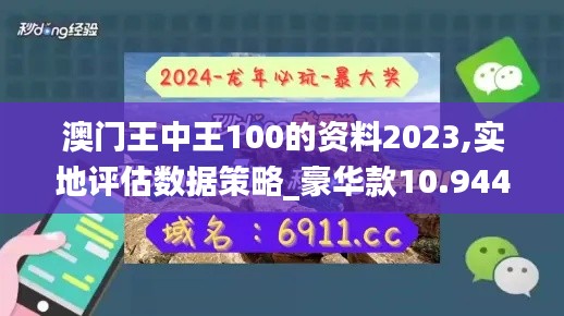 澳门王中王100的资料2023,实地评估数据策略_豪华款10.944