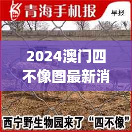 2024澳门四不像图最新消息,权威解析说明_创意版6.389