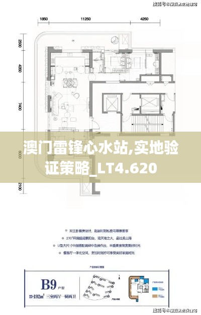 澳门雷锋心水站,实地验证策略_LT4.620