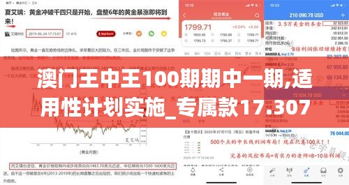 澳门王中王100期期中一期,适用性计划实施_专属款17.307