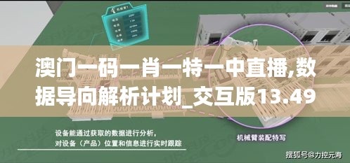 澳门一码一肖一特一中直播,数据导向解析计划_交互版13.490