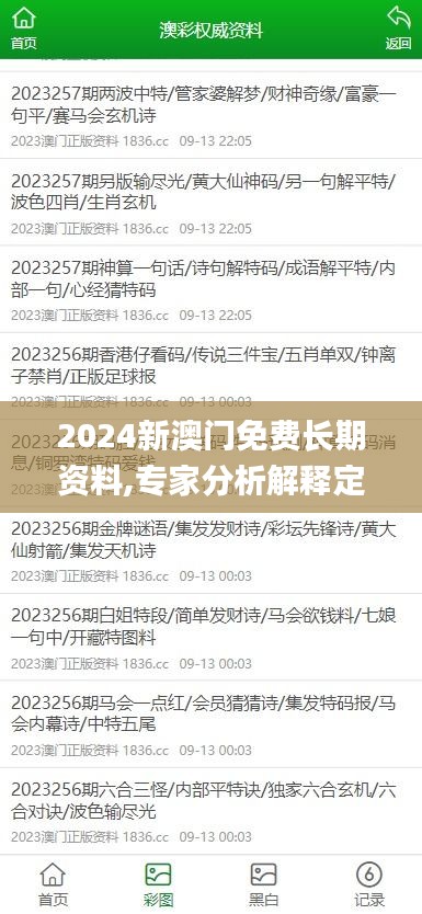 2024新澳门免费长期资料,专家分析解释定义_精装版7.229