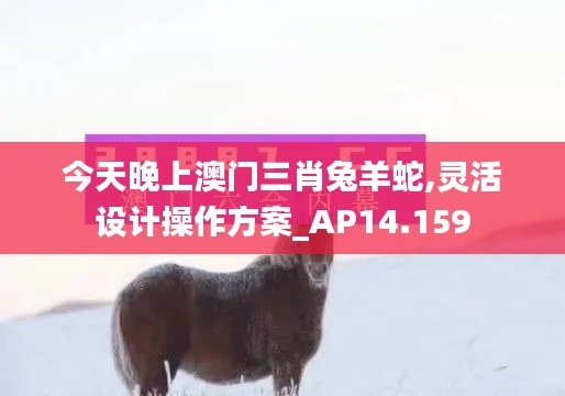 今天晚上澳门三肖兔羊蛇,灵活设计操作方案_AP14.159