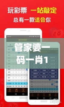 管家婆一码一肖100准,精确数据解析说明_yShop8.225