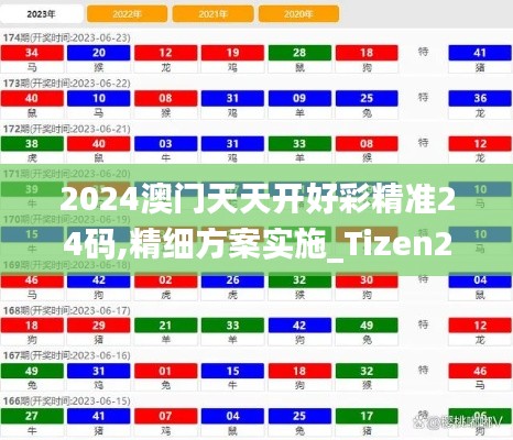 2024澳门天天开好彩精准24码,精细方案实施_Tizen2.784