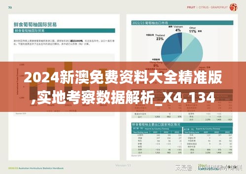 2024新澳免费资料大全精准版,实地考察数据解析_X4.134