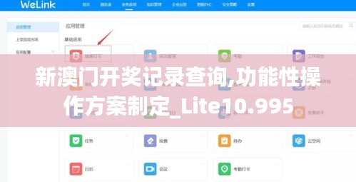 新澳门开奖记录查询,功能性操作方案制定_Lite10.995