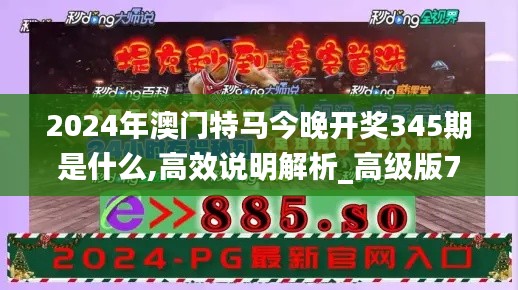 2024年澳门特马今晚开奖345期是什么,高效说明解析_高级版7.280