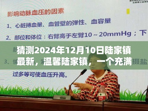 温馨陆家镇，爱与陪伴的奇妙日常（最新预测至2024年12月10日）